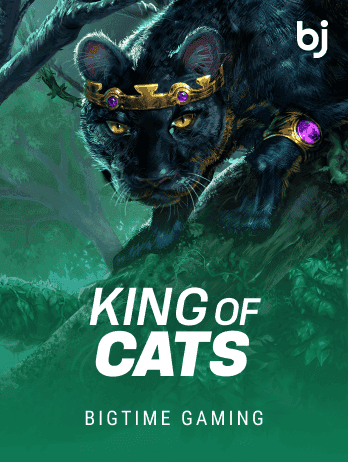 King of Catspng thumbnail